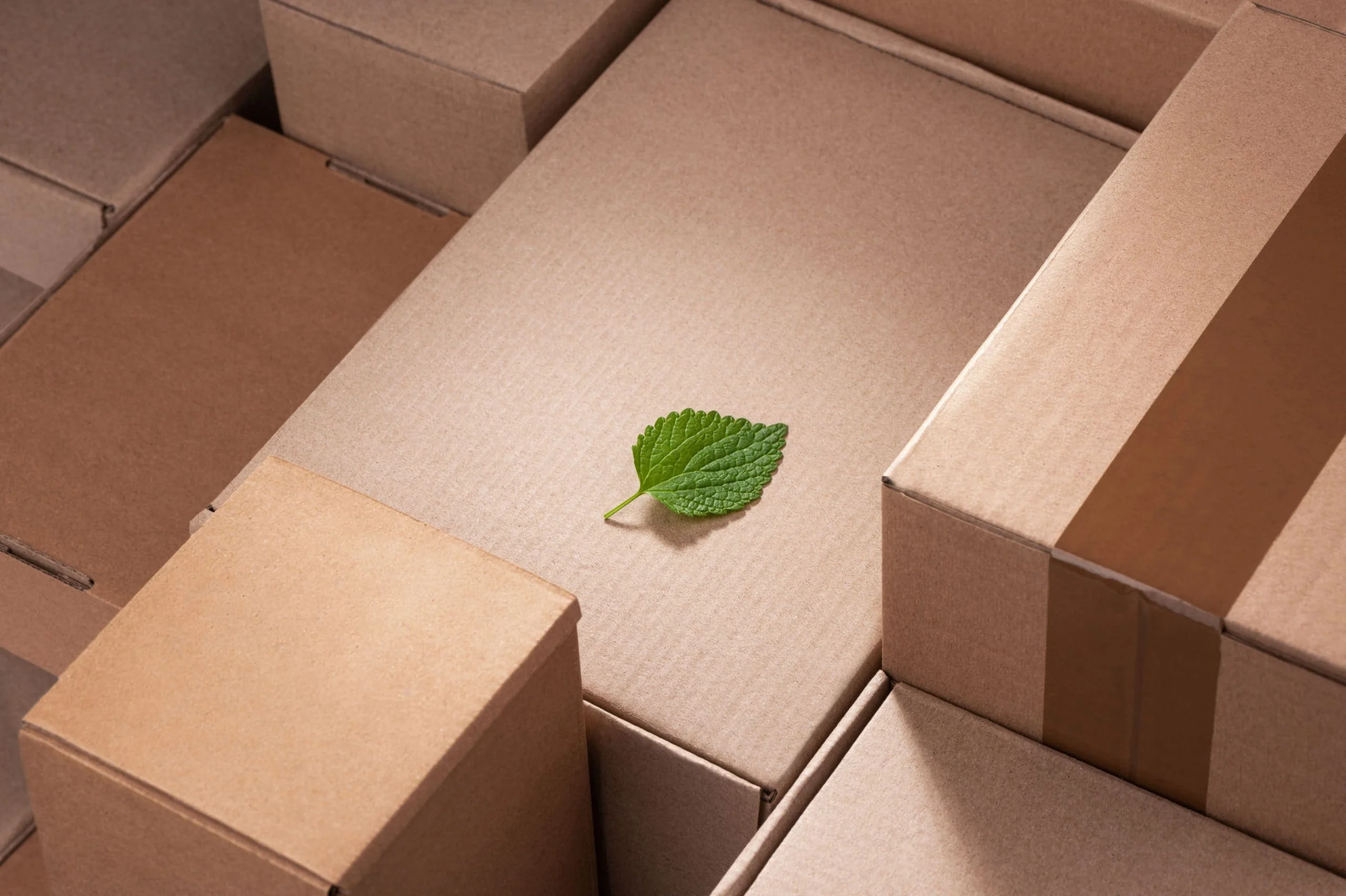 Food packaging: the power of attraction and brand recognition